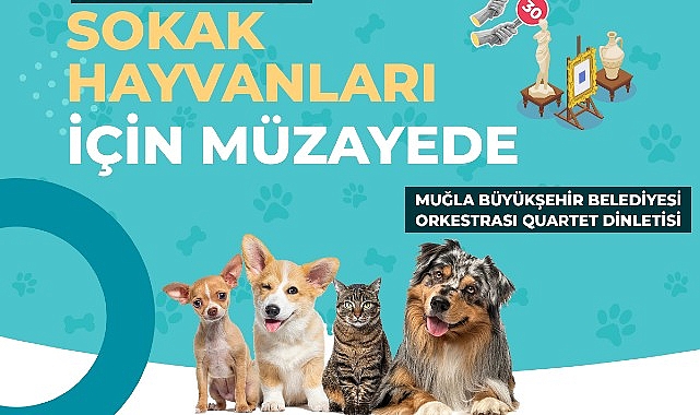 Muğla Büyükşehir Belediyesi, gelirinin tamamının sokak hayvanları yararına kullanılacağı bir açık artırma düzenliyor. – GÜNDEM