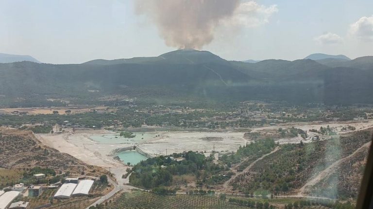 İzmir Menderes Mahallesi’nde orman yangını