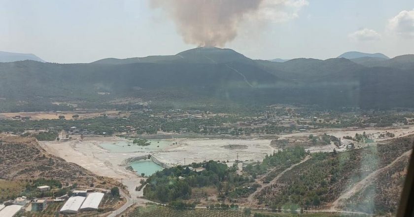 İzmir Menderes Mahallesi’nde orman yangını