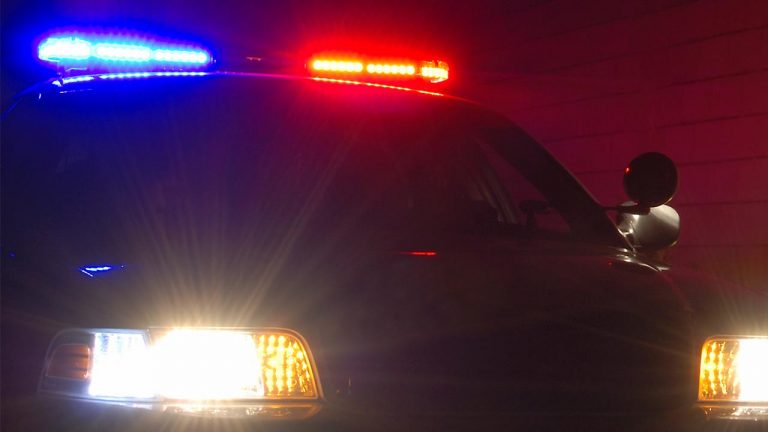 Çanakkale’de 50 bin makaron ele geçirildi