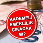 Aşamalı emeklilikte son gelişmeler (20 Kasım 2024) | Erken emeklilik nedir, gelecek mi, ne zaman çıkacak? Milyonlarca kişinin gözü kademeli emeklilik masasında!