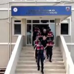 Bakan Yerlikaya: Aydin Ceza Örgütü’ne karşı operasyonda 20 kişi tutuklandı