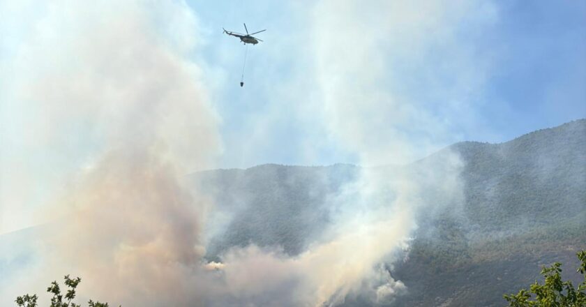 BARTIN’de Orman Ateşi – Son Dakika Haberleri