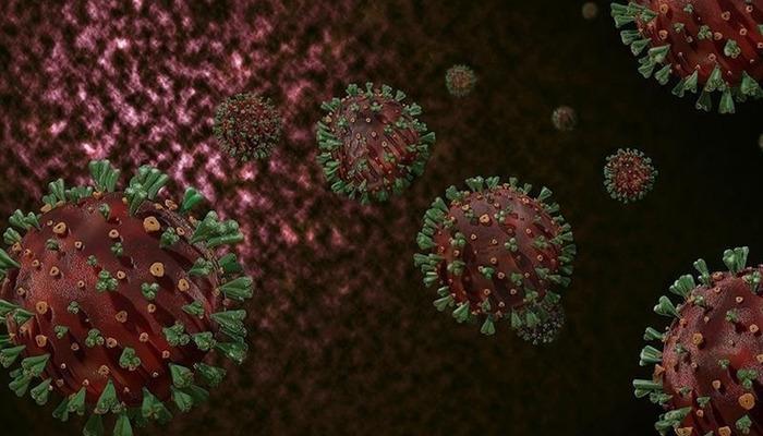 M çiçek virüsü Gana’da yayılıyor! Vaka sayısı 500’ü aştı