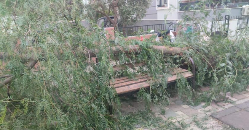 İzmir’deki devrilmiş ağacın altında iki kişi yaralandı