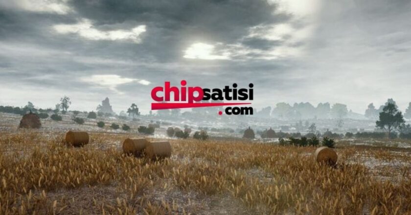 Zynga Poker Chip Tedarikinde Güven ve Hızın Adresi