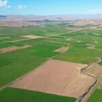 40 Milyon TL’lik Arazi Krizi: Boşanma Eşiğine Gelenler Var!